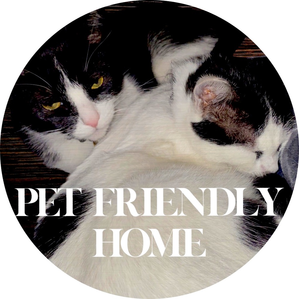 PET FRIENDLY HOME